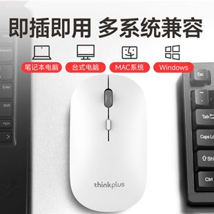 �m����M20 �o���B���Α�늸��k���o�����w���̌W�Pӛ����X���