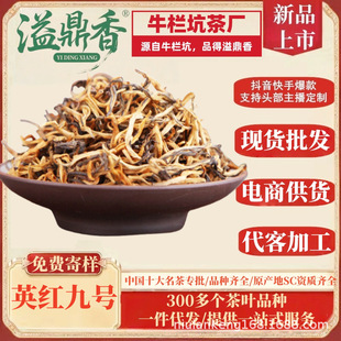 �綦��Ӣ�t��̖Ӣ�¼t�蹤�S���lӢ�t9̖�����ͽ�ѿ�Ϙ���~����