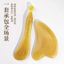 ��֬�ܽ����Ę��Ę�����沿�������ݾ��۲��cѨ���^����Ħ��