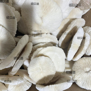 ��Ȼ��ɺ���A�κ��ջ���Ģ��ؐ���~���쾰�����b�Ʒ�[��ˮ������