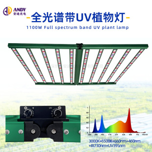 室内两通道调光1100W全光谱植物生长補光燈光照4x6英尺led植物灯-阿里巴巴