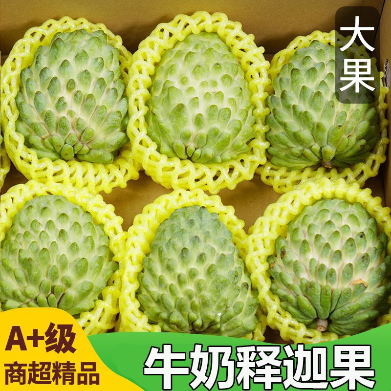 【恬小鲜】广西牛奶释迦果5斤新鲜凤梨释迦番荔枝摩尼佛头果1斤