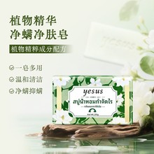 һ���Q�� ̩��YESUS���\��՝��w��ֲ����ԡϴĘϴ����ζ�־�����