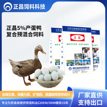 ����5%�a�����A���� ���ӹ����ڷ��� ���χ��Ҙ�׼ �S���صV���|