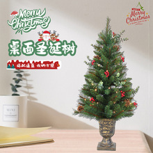 Christmas TreeRdɌ[ɶߴpvc+peС}Q