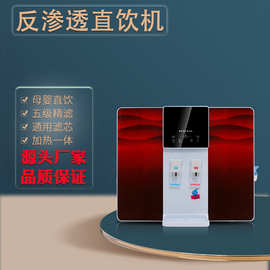 净水器家用直饮加热一体机RO反渗透厨房壁挂式全自动智能饮水机