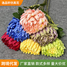 �����֧���F�շ��滨�ҾӾƵ������b���@�L�͏d�[�����յ���