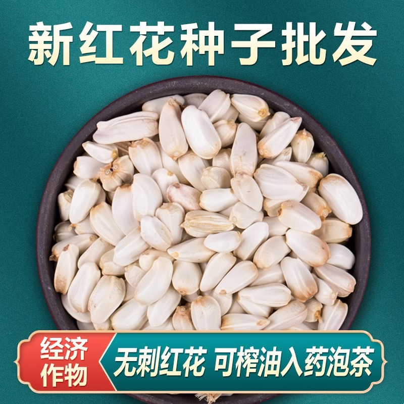 新采白皮松种子基地批发华山松油松园林绿化工程占地食用松树种子