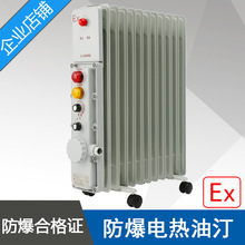BDN58-2500W13片220V防爆电热油汀ExdIIBT4功率2.5KW防爆电暖气器