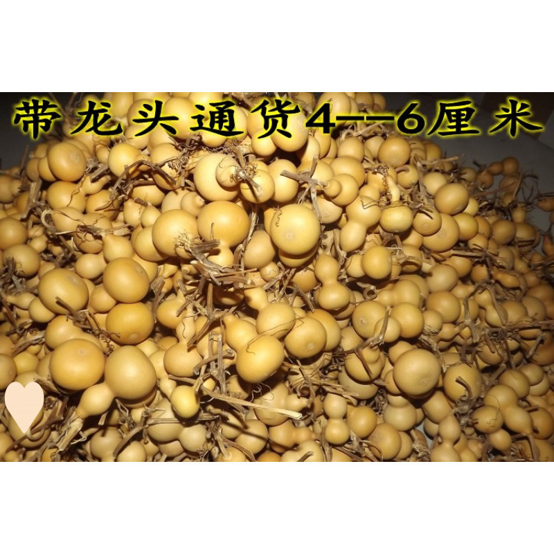 ↬↬↬약간의 흠집 또는 약간의 흠집, 수도꼭지 없음 4~5.5cm 100개↫↫↫