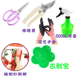 ��ˇ�����������b�@ˇ����֦���r����廨����õ���Q����Qȥ�̌�