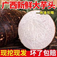 �V�����ִ����^���r�߲�1/3/5/9�����ܛŴ�������l���������^