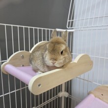 ��������촲؈��C������ǧľ�|͸��녶�\�ù̶��촲�Ғ�٪����