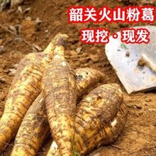 ���P��ɽ�۸����r �V�|Ұ������Ҝ����R�ٸʸ���o��5����]