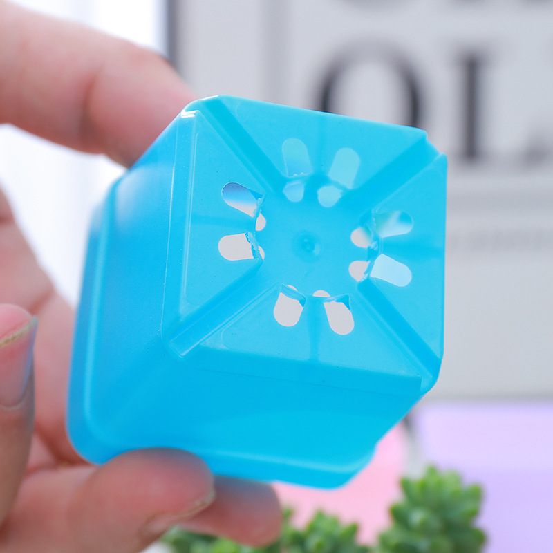 Maceta pequeña colorida para suculentas transpirable