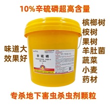 地中狼10%辛硫磷颗粒羊肚菌天麻蔬菜地下害虫杀虫剂金针虫农药