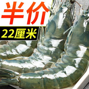 ���r���l������؛���u�ش��r���r������r���������r���rˮ�a�ͶY