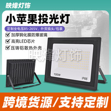 羳ledͶ200W400WˮСOͶͥԺ