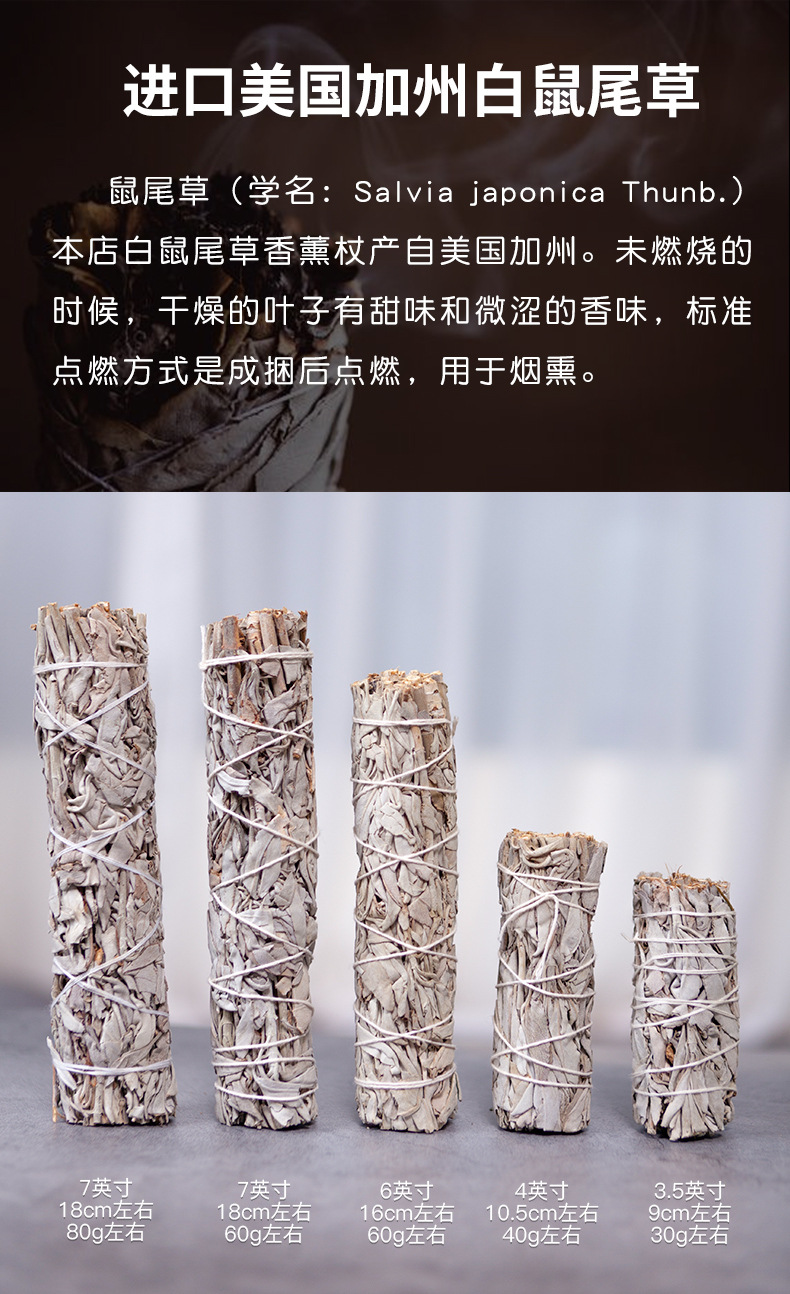 鼠尾草综合详情 (2).jpg