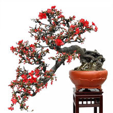 ĻԻֲ҃_ļBĘͥԺ辰䘶