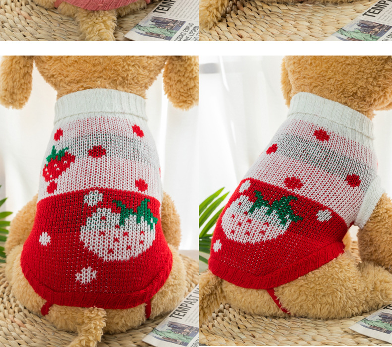 Holiday Pet Wear