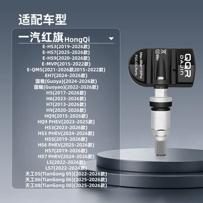 FAW Hongqi special Tire pressure monitoring system