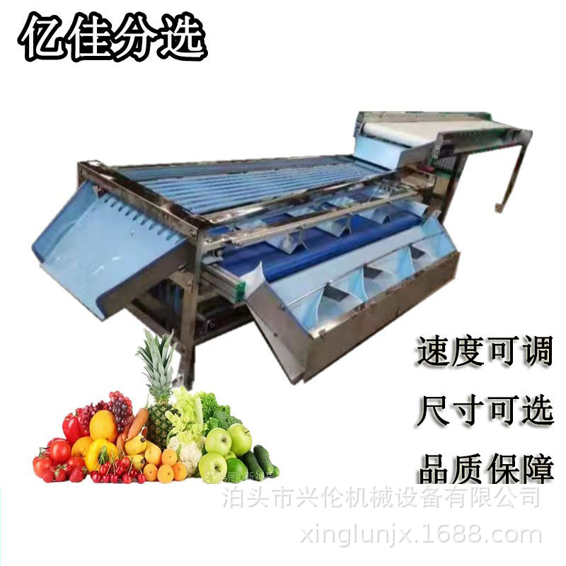 商用莲雾分果机 轨道式夫人李选果机 葡萄柚筛选机 皮带式分选机