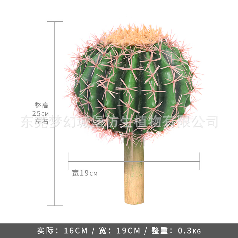 Simulación nórdica Planta verde Pilar de hadas Cactus grande piso interior sala de estar ropa tienda decoración de ventana