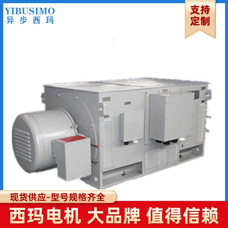 西安西玛电机YR6302-8-1000KW-10KV可配NSK轴承 磨煤机用高压电机