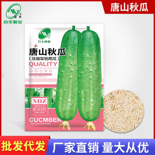 ���S�N�I ��ɽ��ϷN�Ӻ��S�ϷN�у��|�r��ͥԺ�S�����߲������l