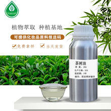 廠家供應 茶樹精油 植物提取精油 化妝品日化原料批發  支持分裝