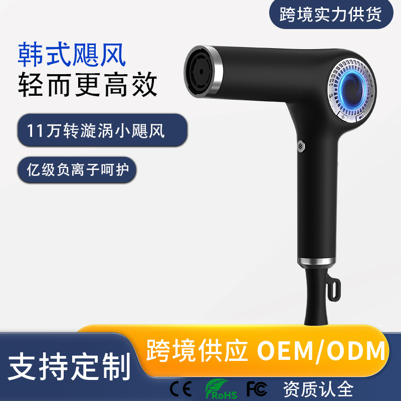secador de pelo transfronterizo coreano secador de pelo eléctrico de alta velocidad especial salón de pelo anión protector de pelo coreano secador de pelo fabricantes al por mayor