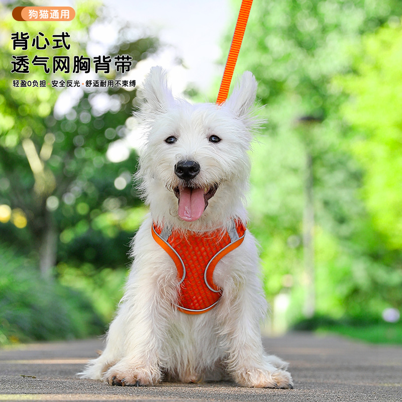 Cruz-frontera mascota gato perro Correa chaleco estilo transpirable pecho Correa gato cuerda gato cadena anti-rotura