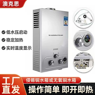 严选跨境烟道式燃气热水器批发商用家用天然气热水器燃气热水器