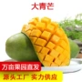 越南特大应季芒果