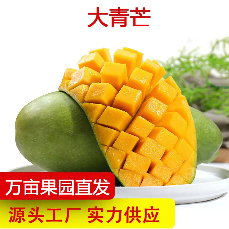 越南大青芒青芒应季当季芒果大青芒大金煌芒特大芒大脸芒一件代发