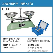 天平秤教具小学初中物理托盘天平称家用实验室高精度架盘学生天平