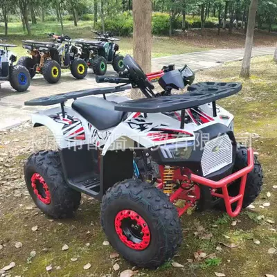 Elektrikli motosikletlər Off-Road Beach Car All-Terrain