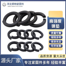 ���|8.8���ߏ����_�ډ|Ƭ��ɫ���|���ɉ|Ƭ���ԉ|Ȧ