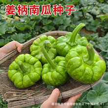 �����ϷN�����С�ϹϷN���S�a�׷N�����＾���ٹ��ļ��߲˷N��