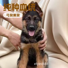 ���N������Ȯ��Ȯ���w�����ڱ�������Ȯ܊Ȯ�����ǹ��CȮ���ﹷ