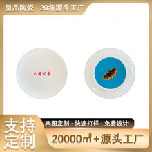 景德镇陶瓷极简亮光釉色海参图案平盘定制 家用餐盘混装沙拉瓷盘