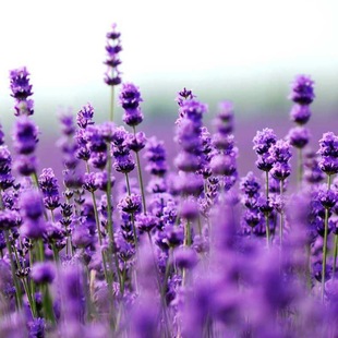 ���ܷN�� �L⏲ݺڷN��޹�²ݲ��~�ݺ��߲��w�����Ҋ��ë���S��