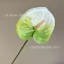 跨境植物新款打印红掌