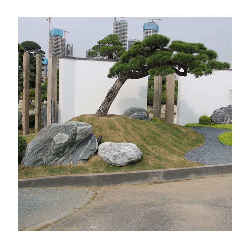 ԺʽʽͥԺ۹ʩ|СƷȫ+ʩɽˮǽ