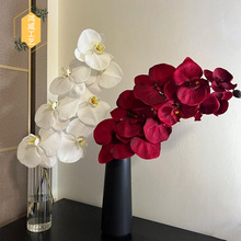 ��c��֧�����m���滨 9�^�ָ�3D�����m�ٻ������Ҿ��b��S���l