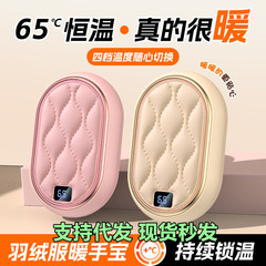 2024軽贅沢ダウン暖かい手宝ミニ携帯女子学生暖かい赤ちゃんusb充電可能な暖かい手宝プレゼント