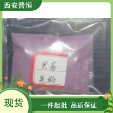 黑莓果粉   水溶果粉 1KG起订   现货