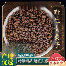 材野生女贞子酒制贞子茶女真子粉冬青籽旱莲草菟丝子