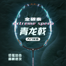 全球风极速羽毛球拍正品官方旗舰店全碳素纤维超轻5U专业耐打单拍